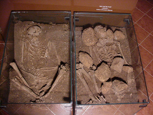 FileCouple_of_skeletons.jpg