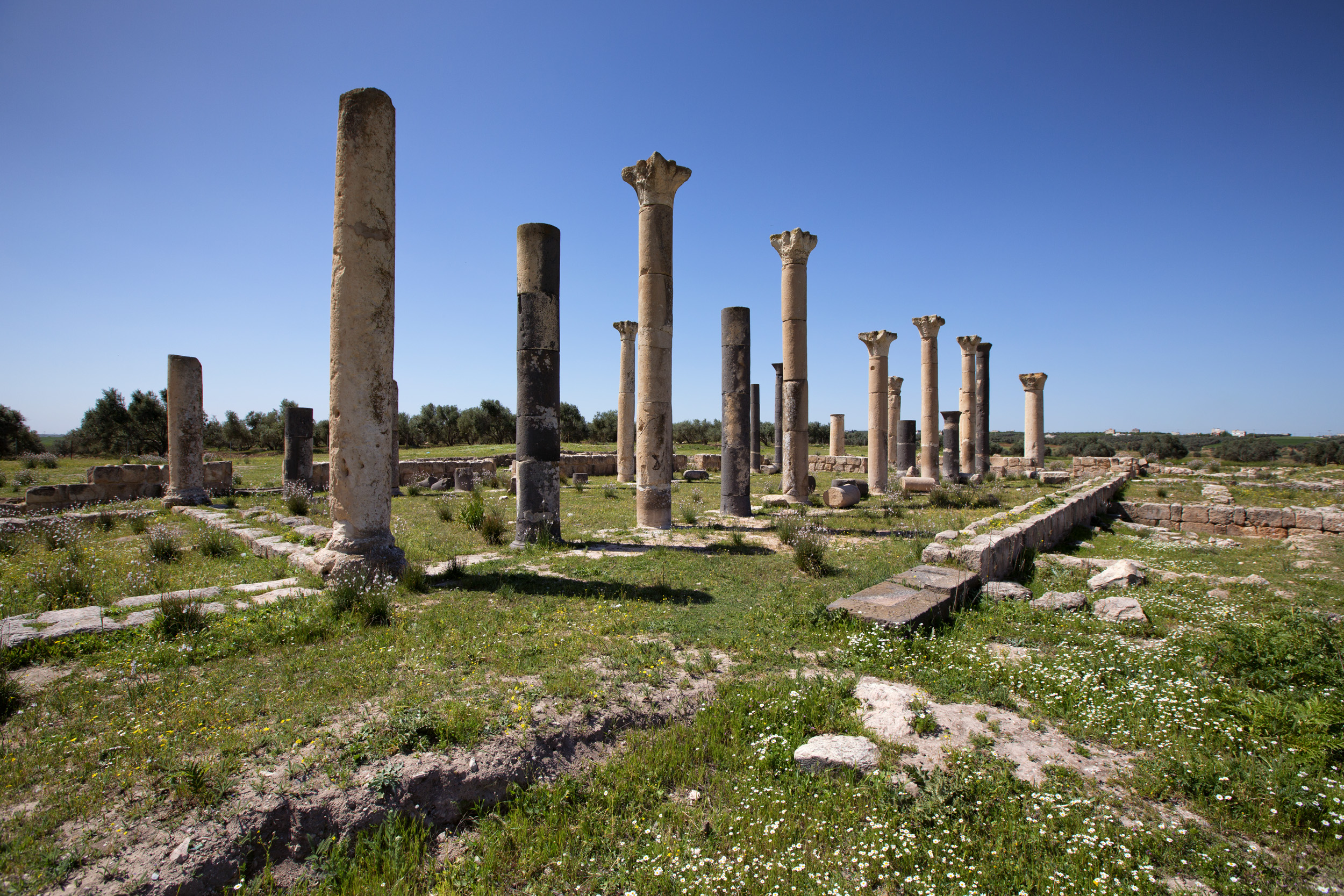 FileAbila_Decapolis.jpg