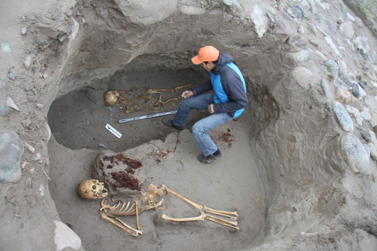 FileHuman_remains_2012.png