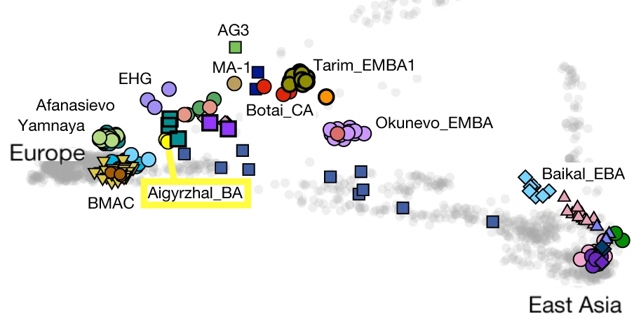FilePC_Aigyrzhal_BA.png