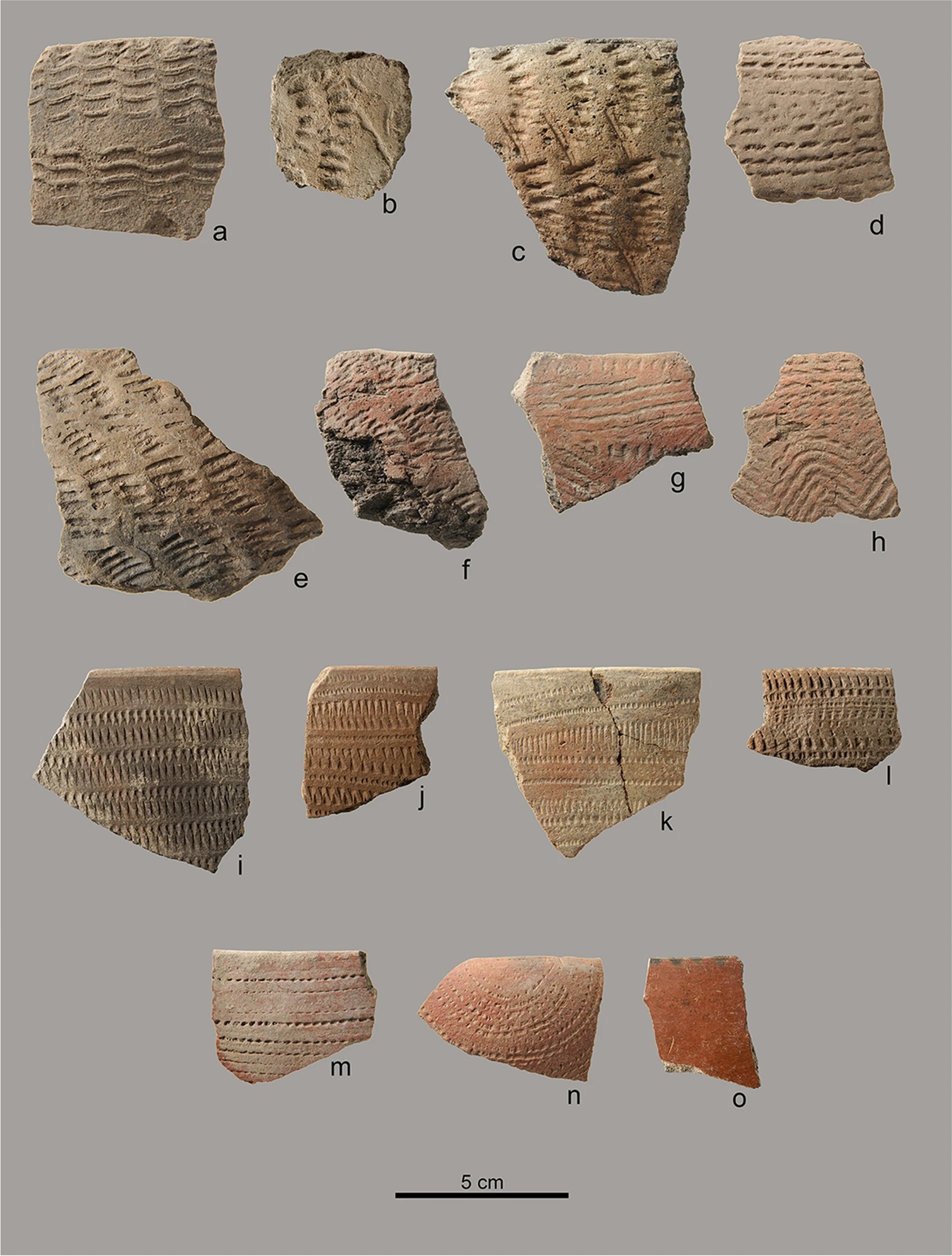 File10437_2022_9490_Fig2_HTML.jpg