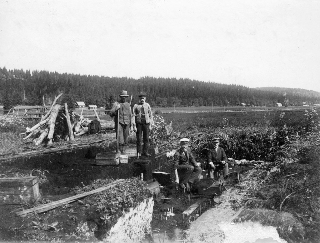FileAlvastra_pile_dwelling_1.jpg