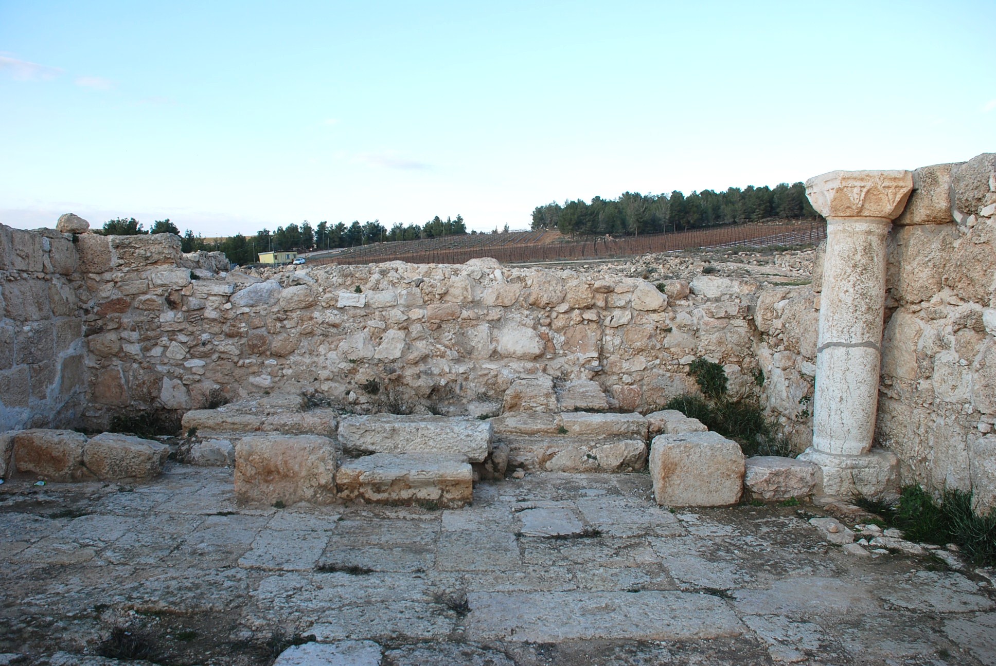 FileAnnim121_4.JPG