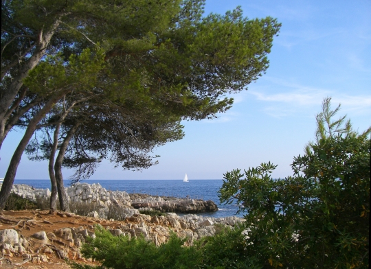 FileAntibes_Alpes_Maritimes_France.jpg