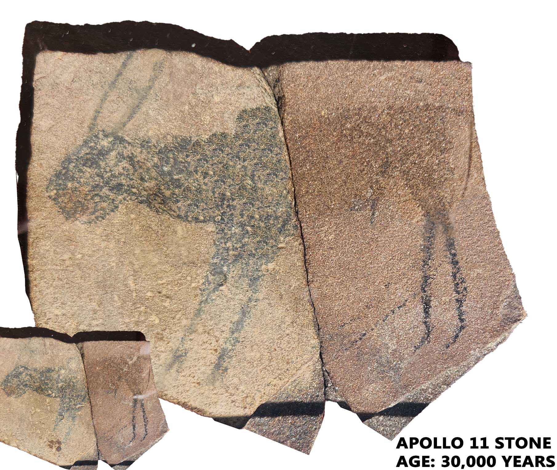 FileApollo-11-cave-therianthrope.jpg