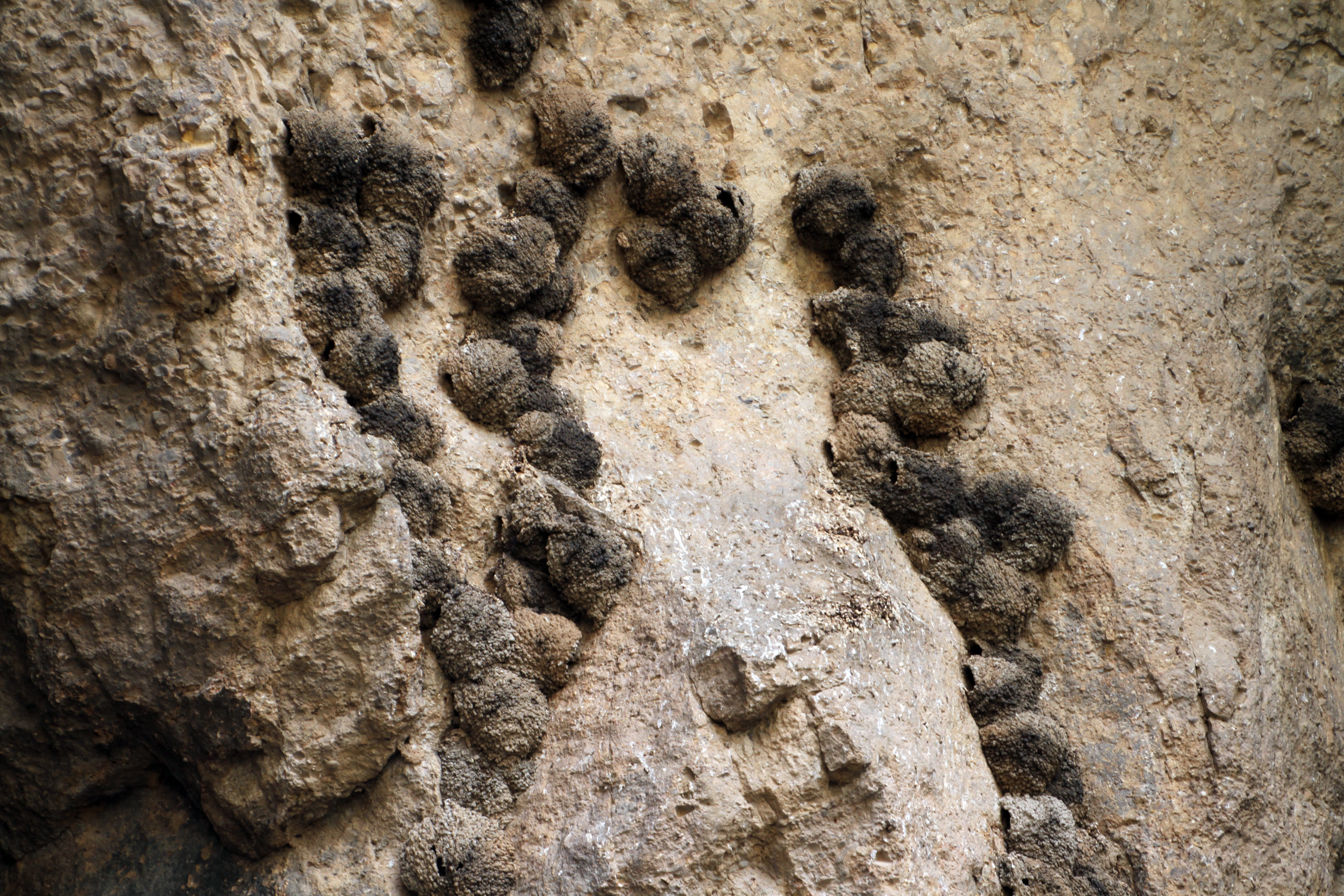 Areni-1 cave