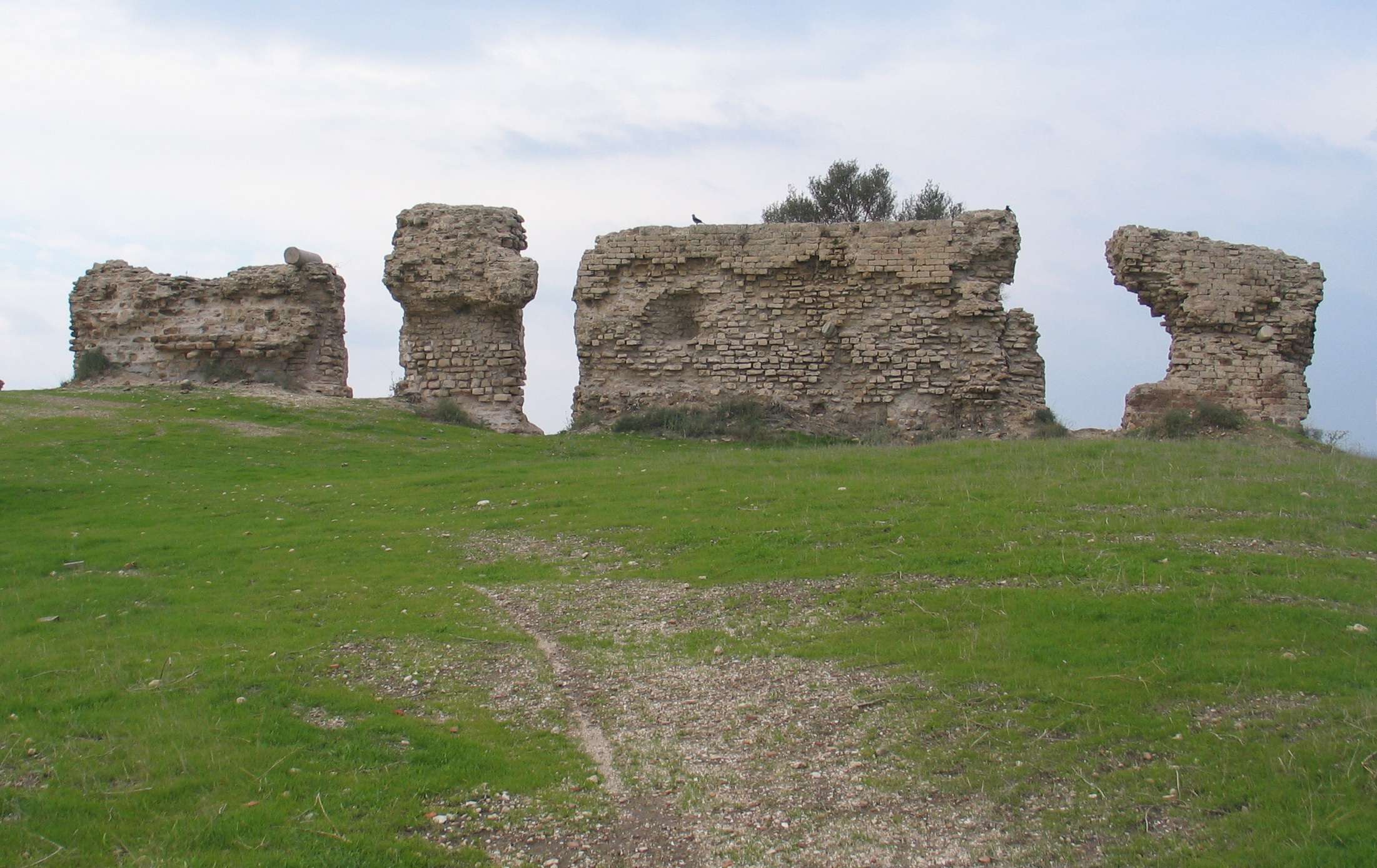 FileAshkelon-8999.jpg
