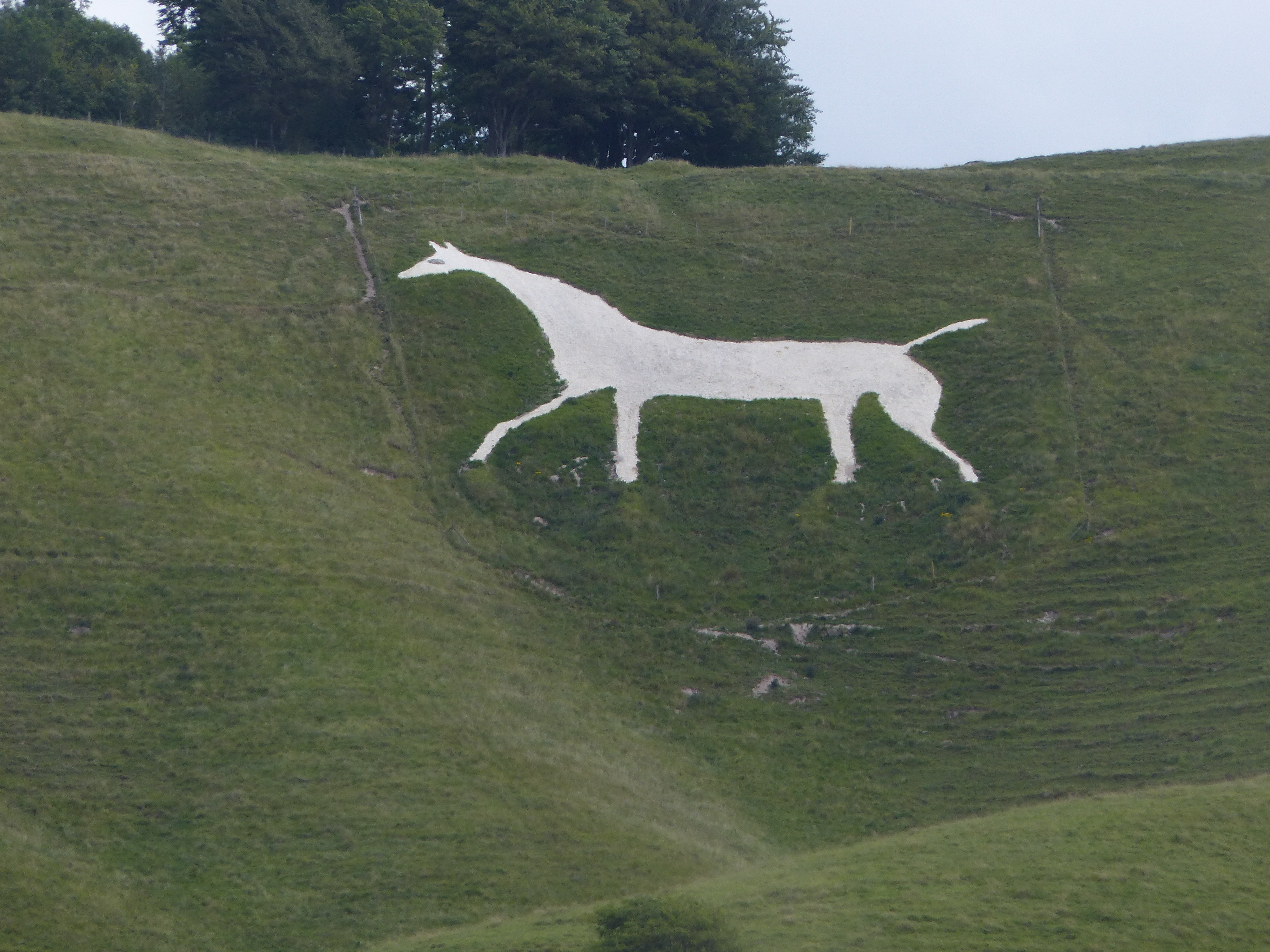 FileCherhill_White_Horse_Juli_20153.jpg