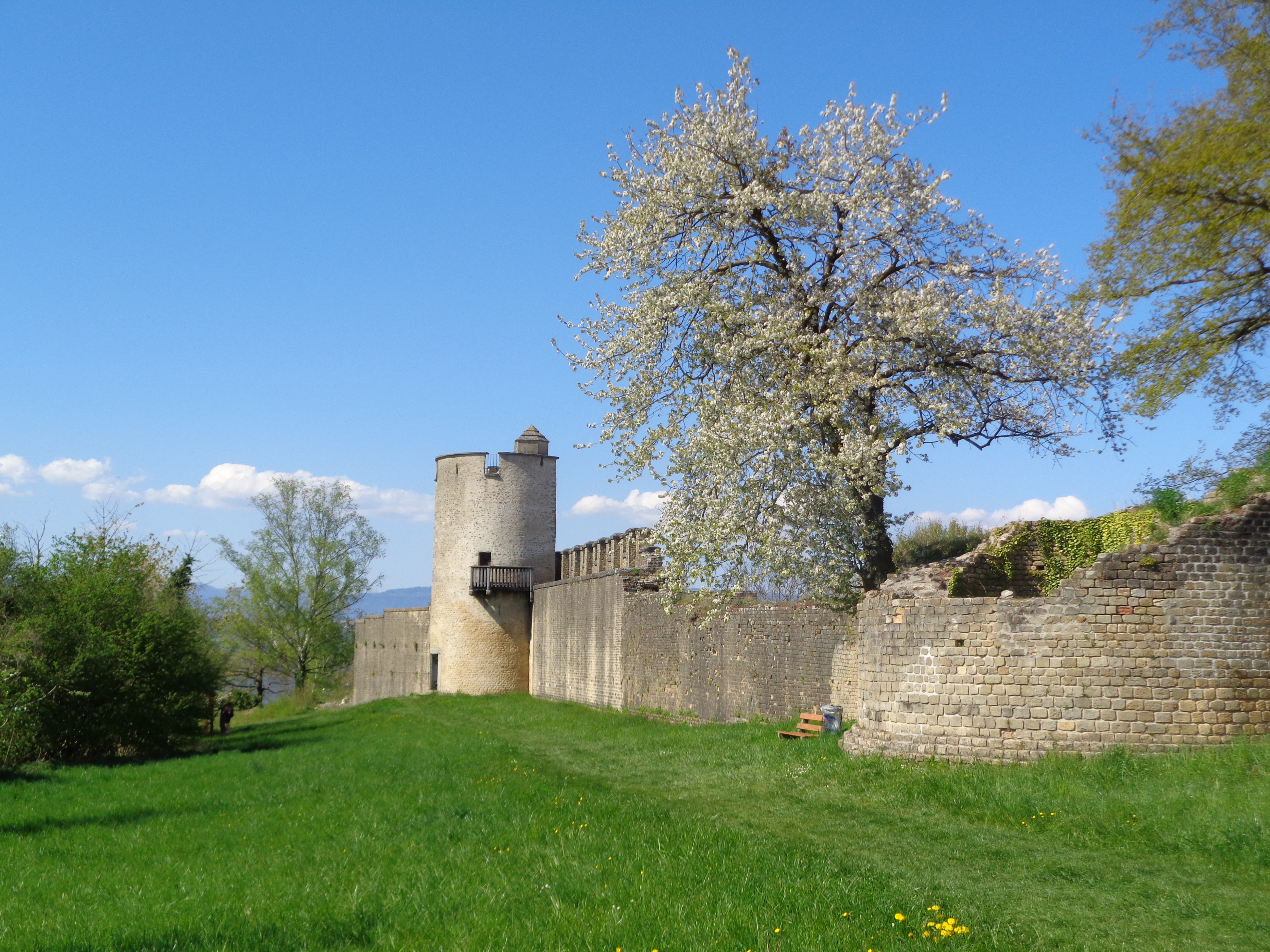 FileAventicum_remparts_20170409.jpg