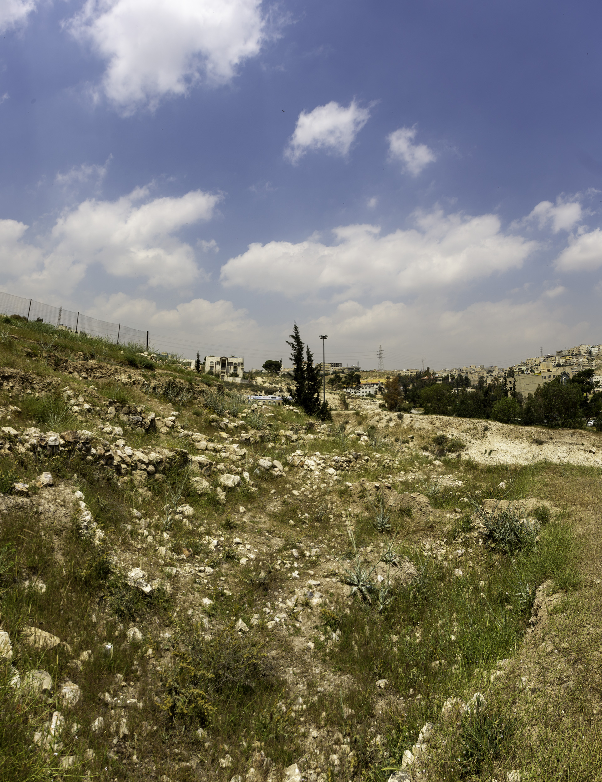 FileAin_Ghazal_Site.jpg