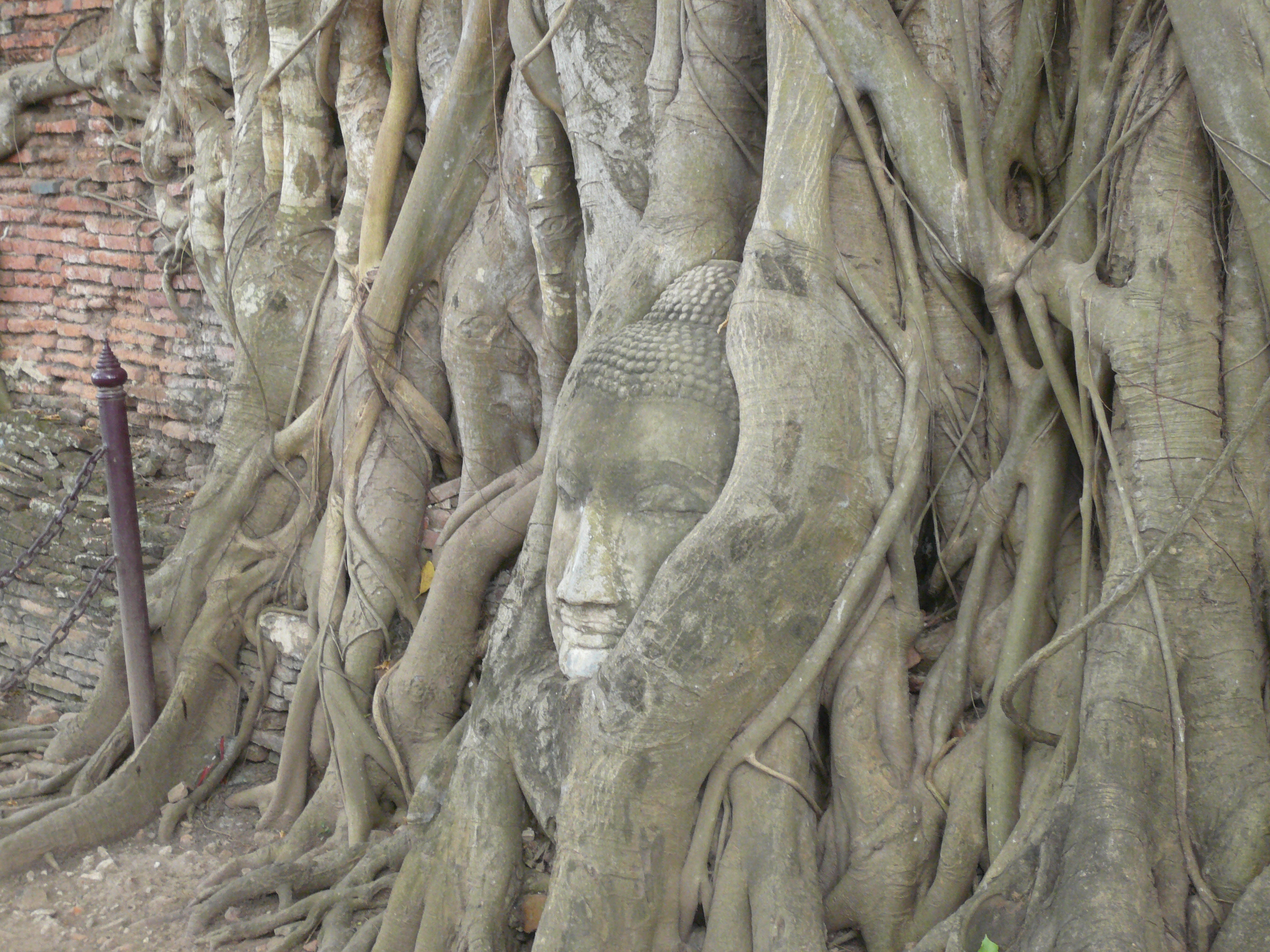 FileHistoric_City_of_Ayutthaya-111233.jpg