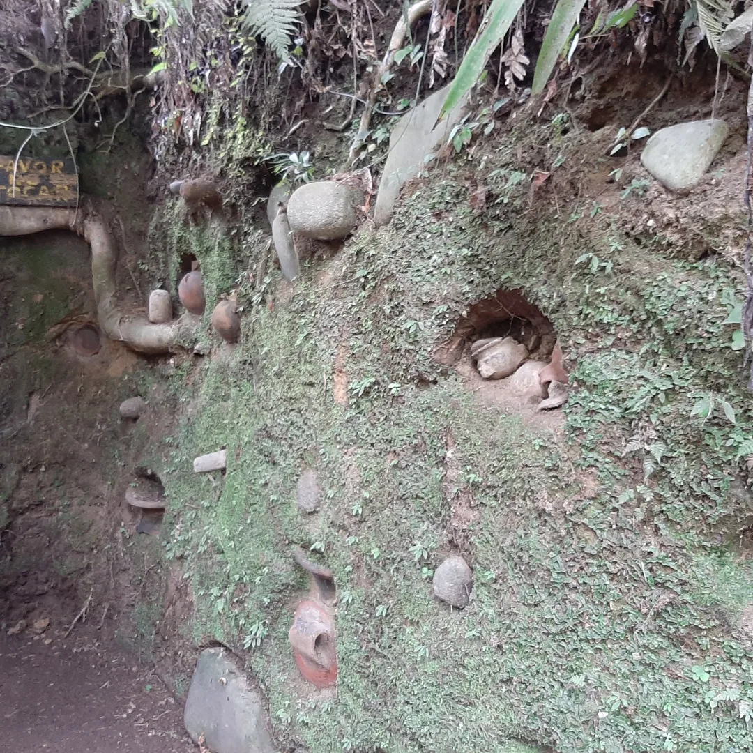 FileSitio_Barriles_Excavation_Artifacts.png