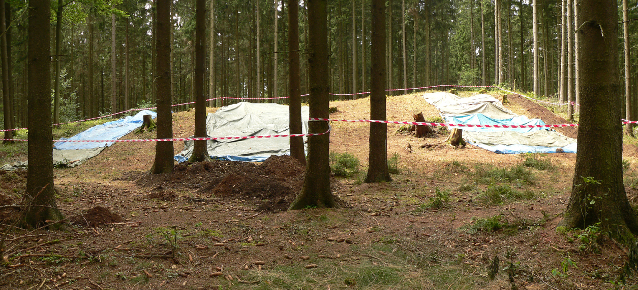 FileHarzhorn_Ausgrabungsbereich_2012_abgedeckt.jpg