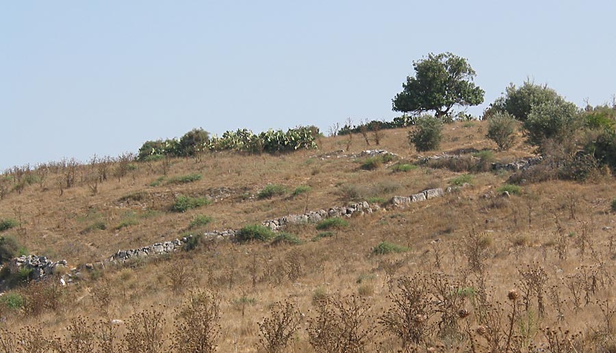 FileBaytJibrin.jpg