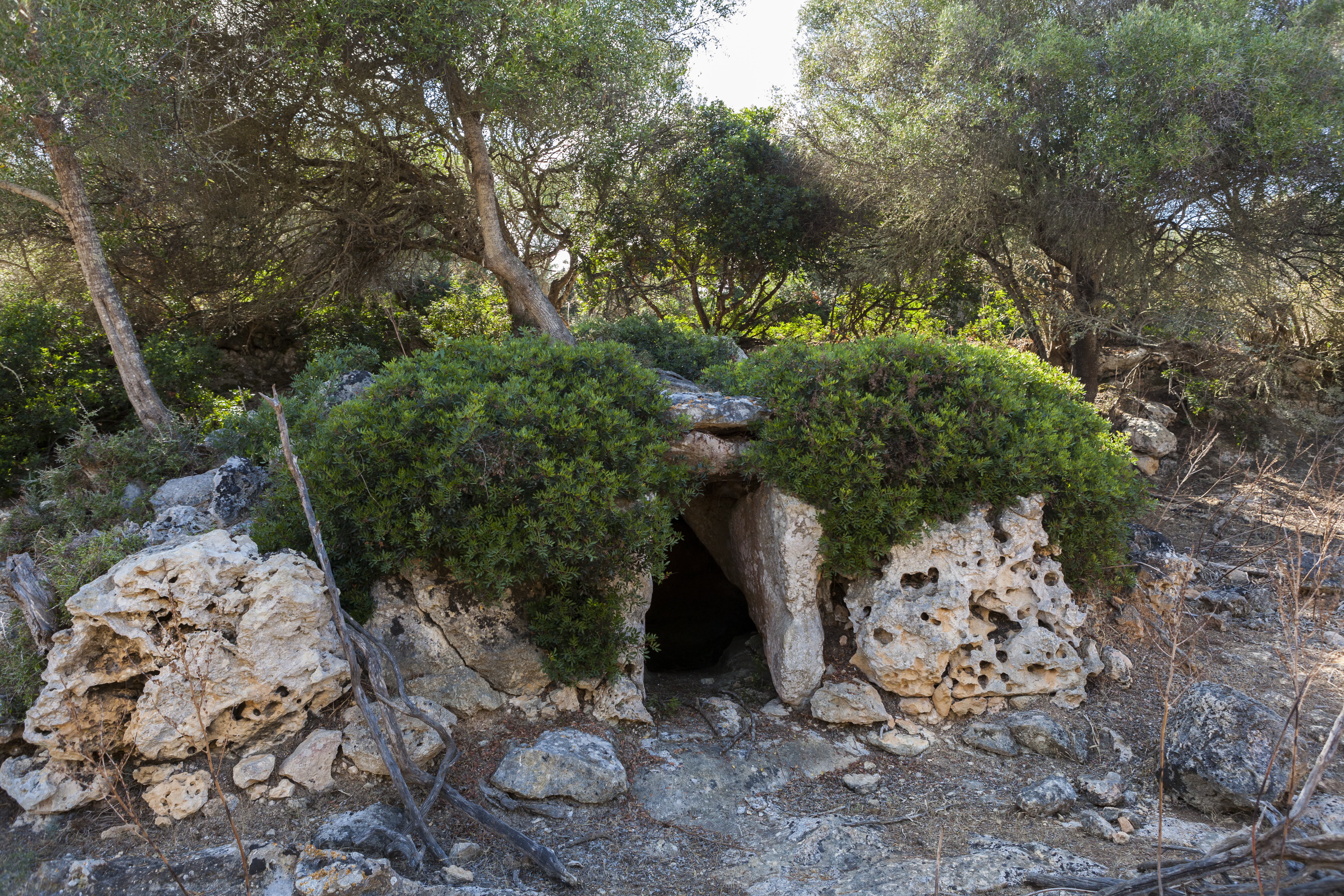 FileHypogeum_1_at_Biniai_Nou.jpg
