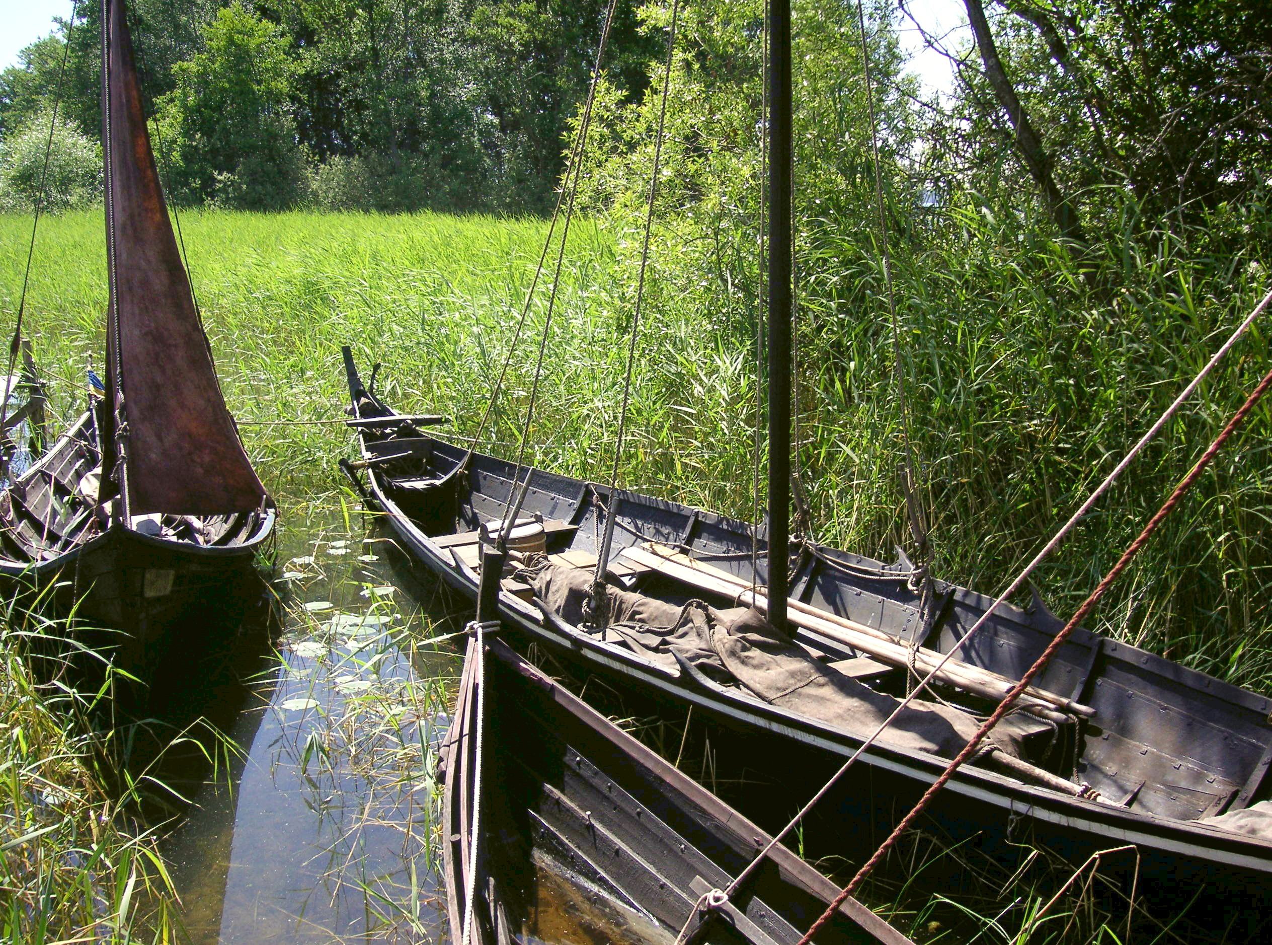 FileBirka_Boot_2008.JPG