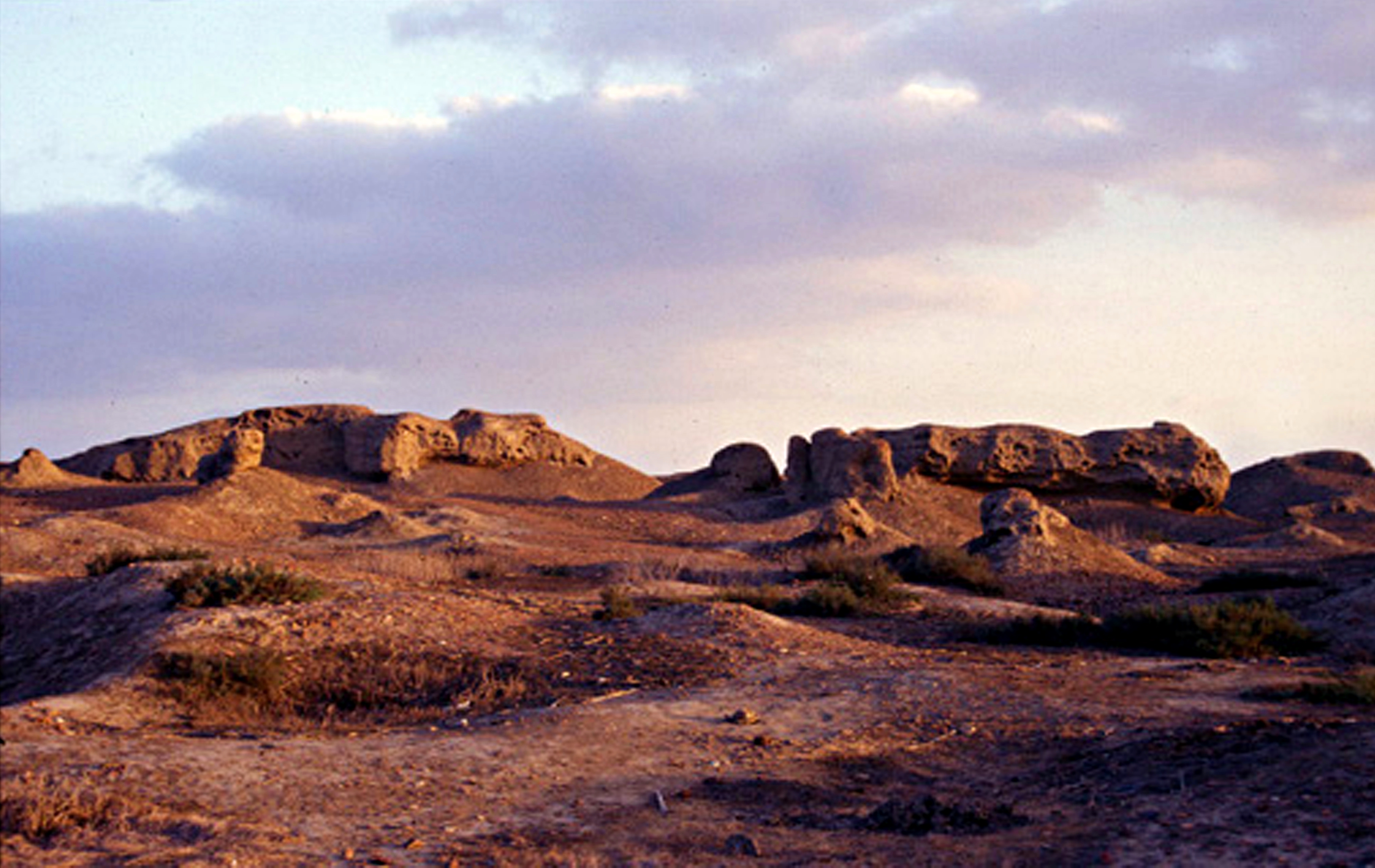 FileRuins_of_mudbrick_buildings_on_the_northern_mound_of_Buto-Desouk.jpg