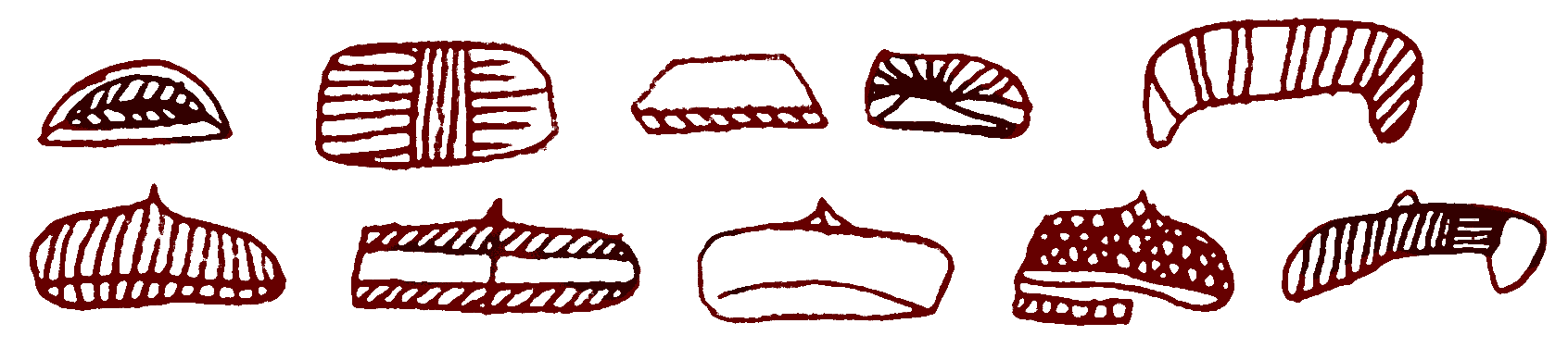 FileLa_Pasiega-Galeria_A-Tectiformes.png