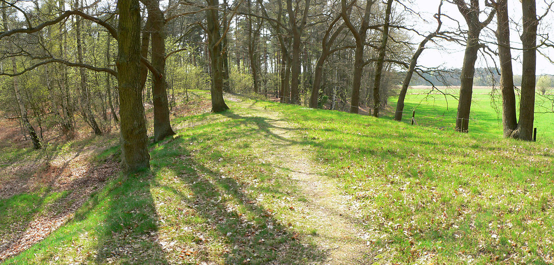 Circular rampart of Burg