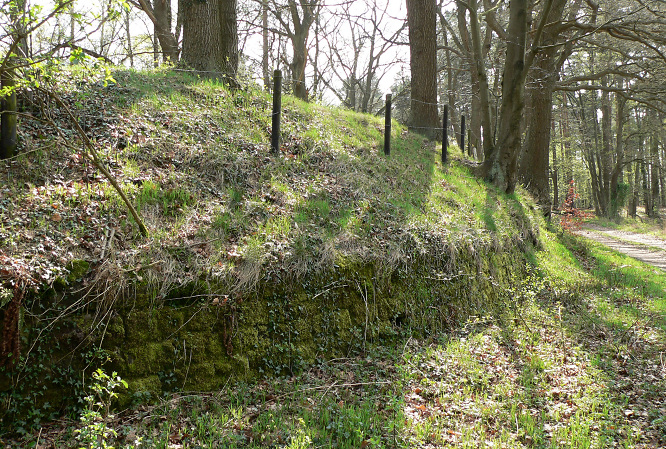 FileRingwall_von_Burg_Mauer.jpg