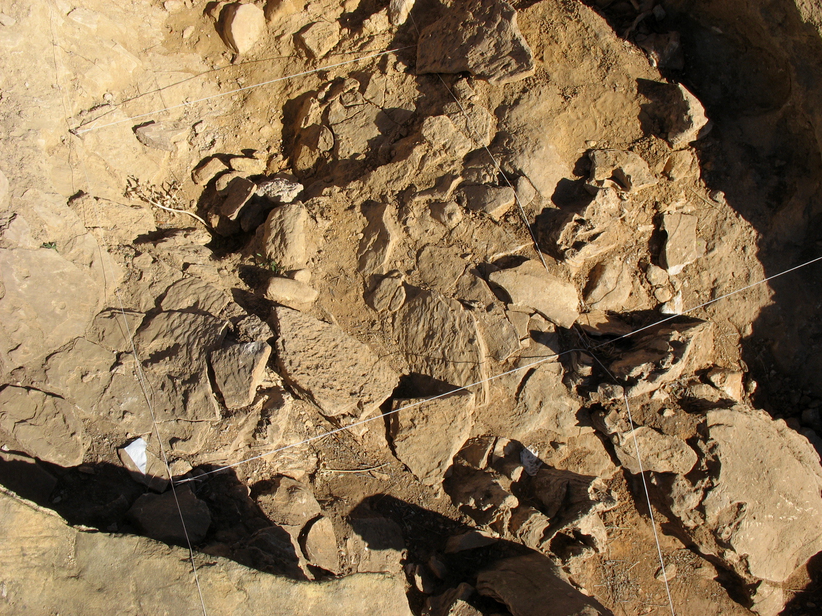 FileColada_en_Cueva_Des-Cubierta_Pinilla_del_Valle_Madrid_Spain.JPG