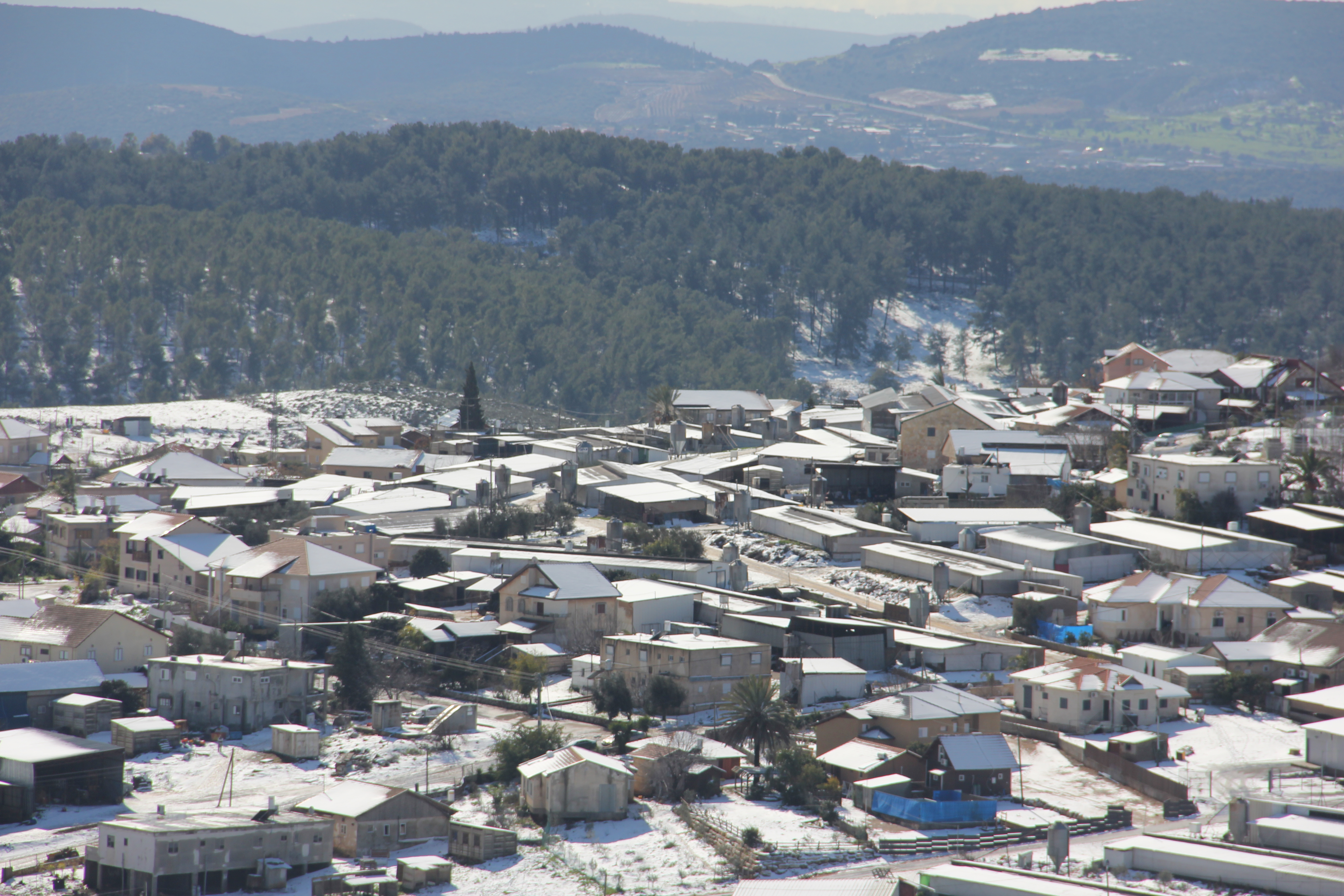 FileDalton_in_snow.JPG