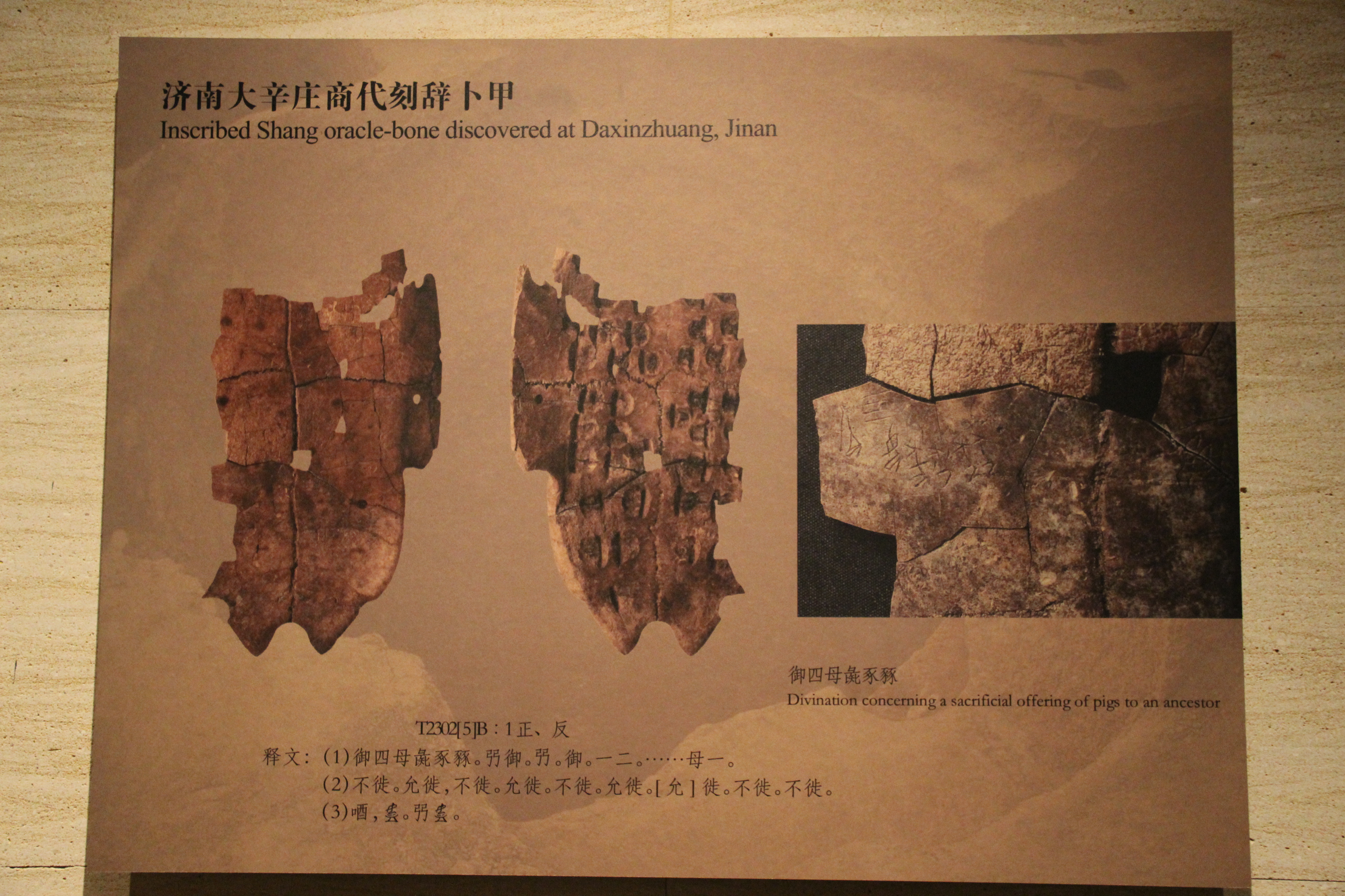 FileInscribed_Shang_Oracle_Bone_from_Jinan_10184906124.jpg