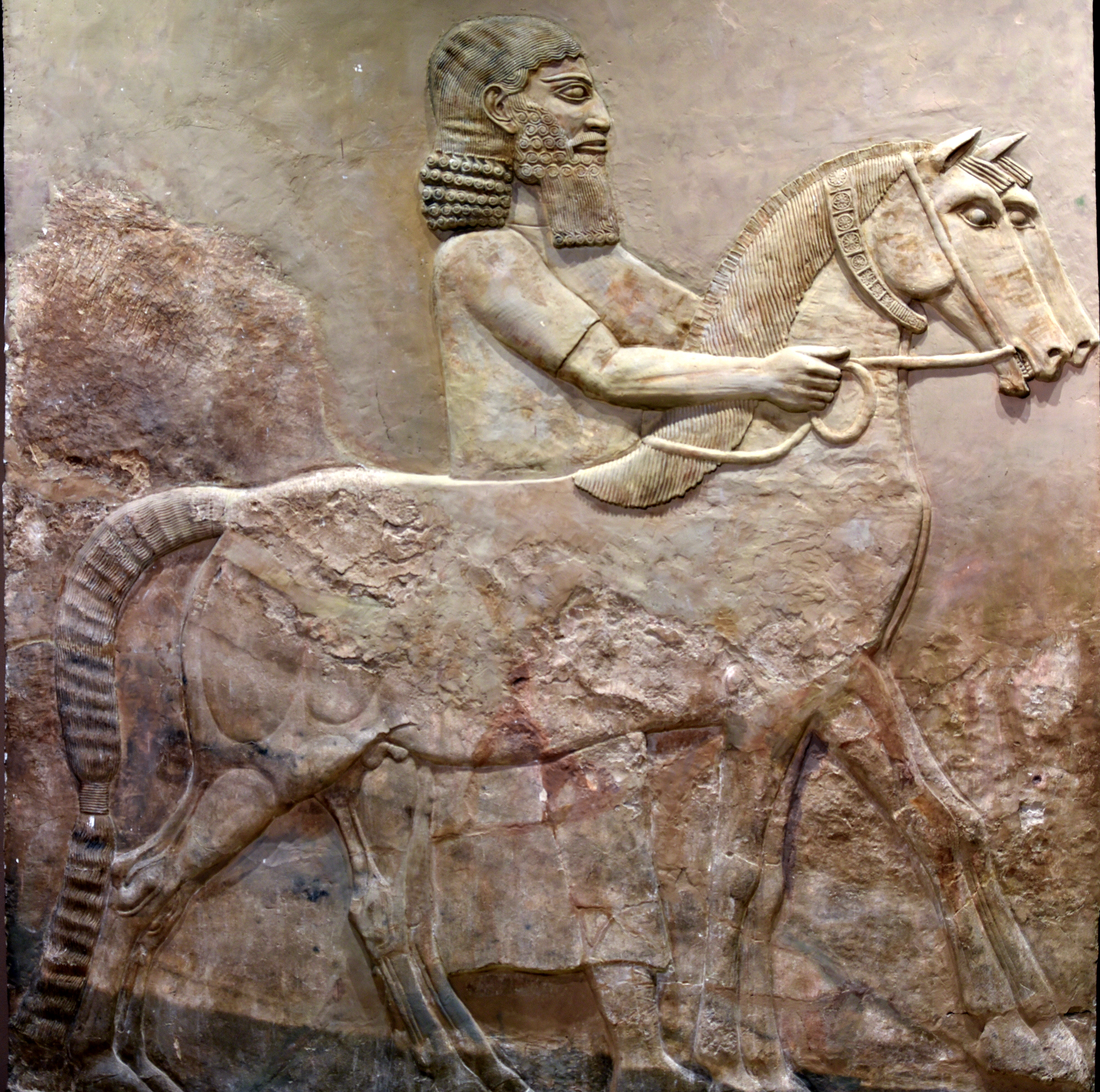 FileA_horse_and_an_Assyrian_groom_from_Khorsabad_Iraq._Iraq_Museum.jpg