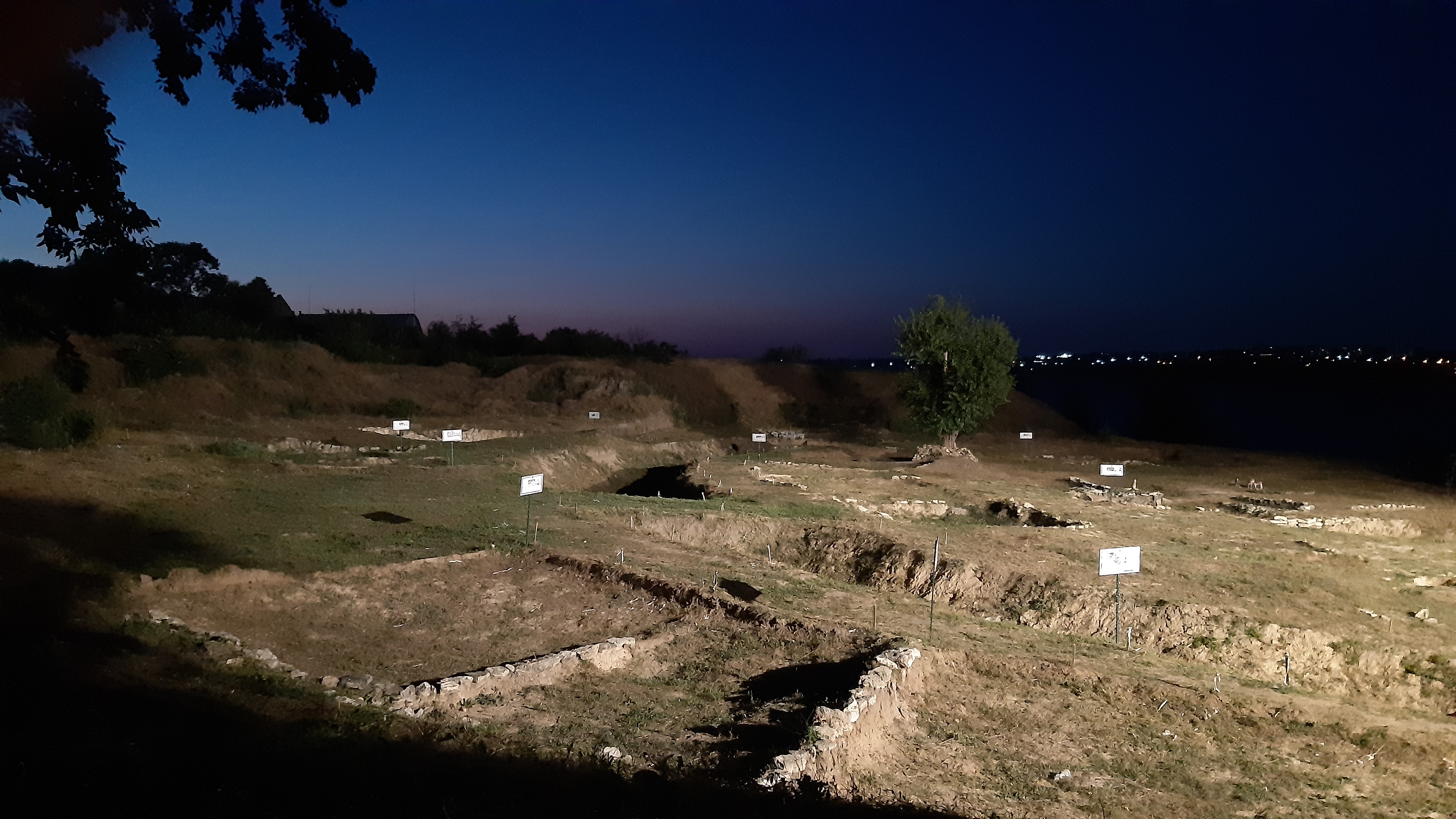 FileWild_Garden_at_night_2021.08.14.jpg