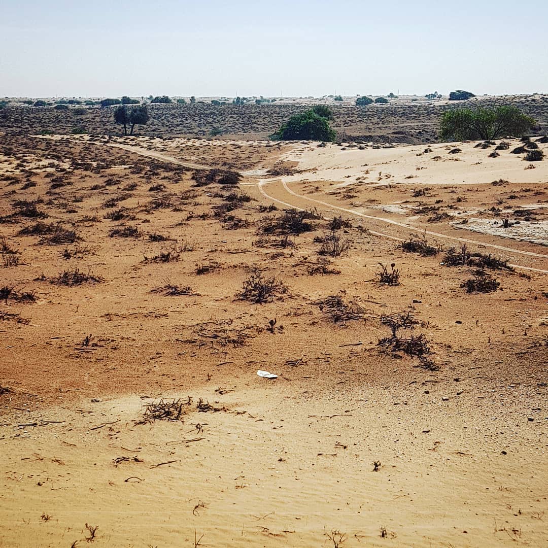 FileThe_site_of_Ed-Dur_today.jpg