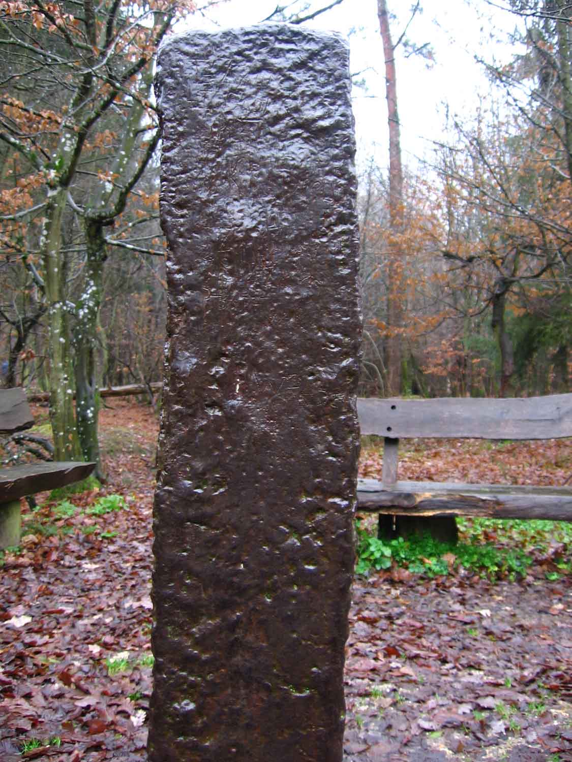 FileDer_Eiserne_Mann_Closeup.jpg