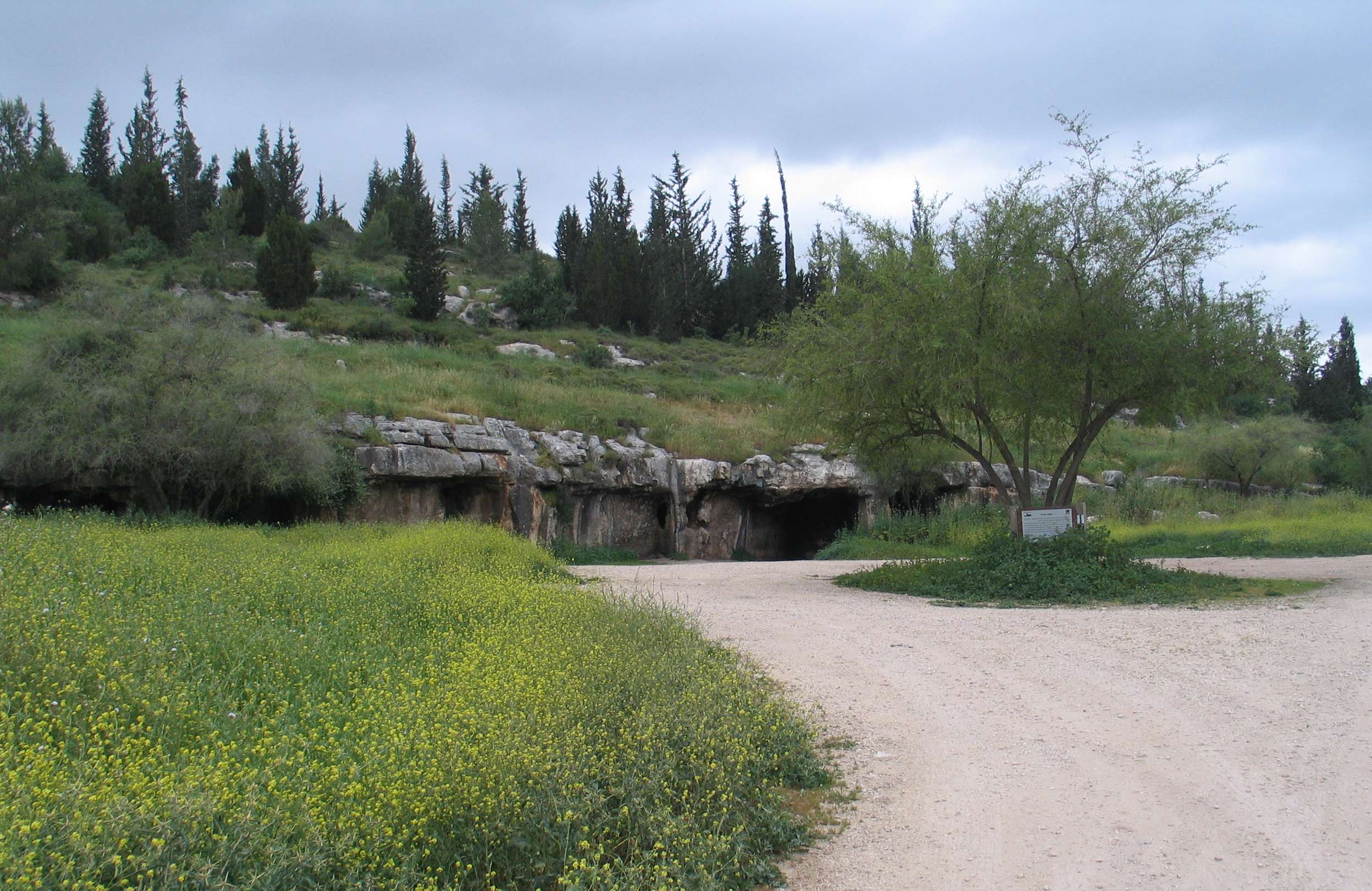 FileBikat-ha-Nezirim-18.jpg