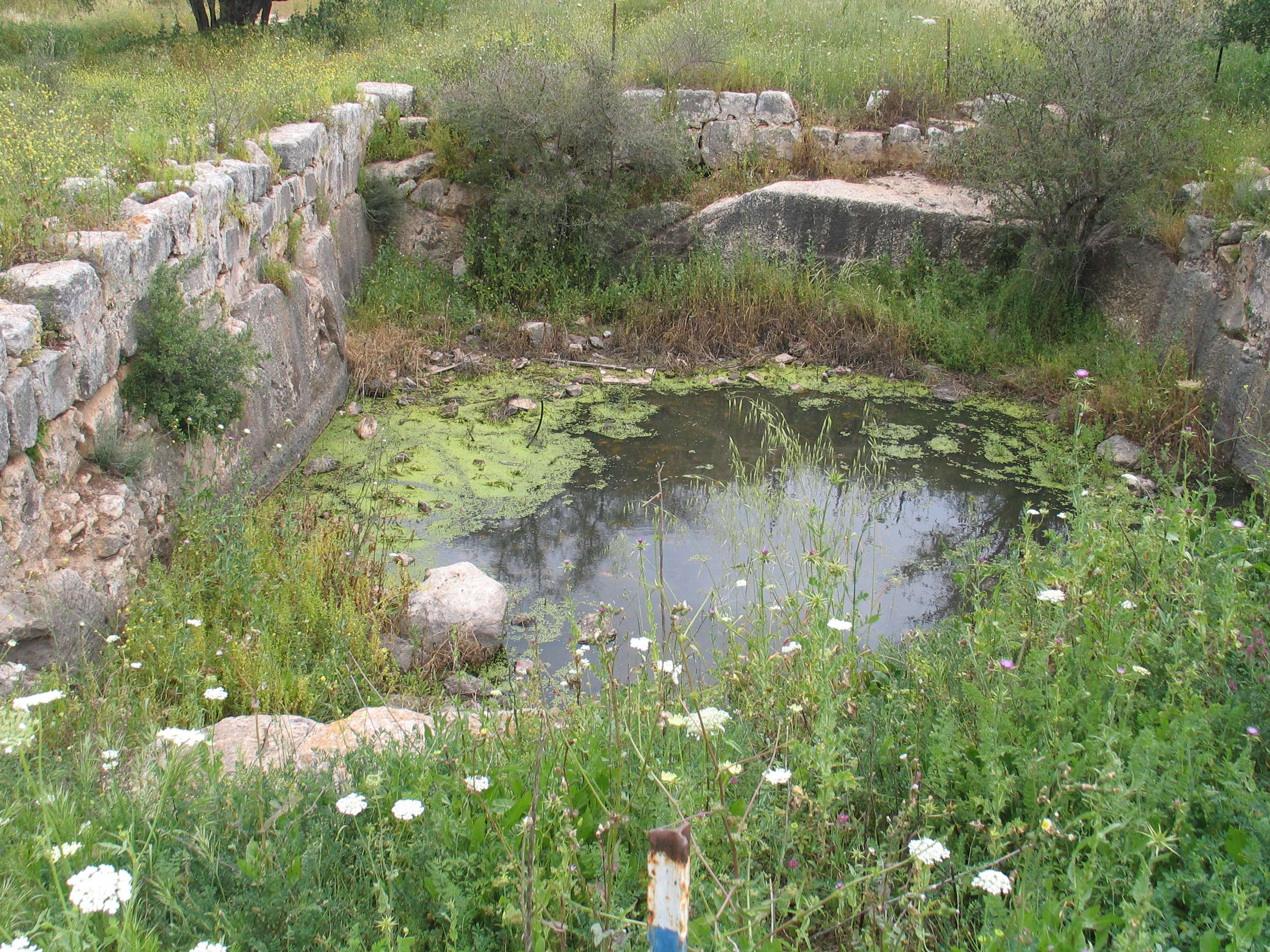 FileBikat-ha-Nezirim-23.jpg