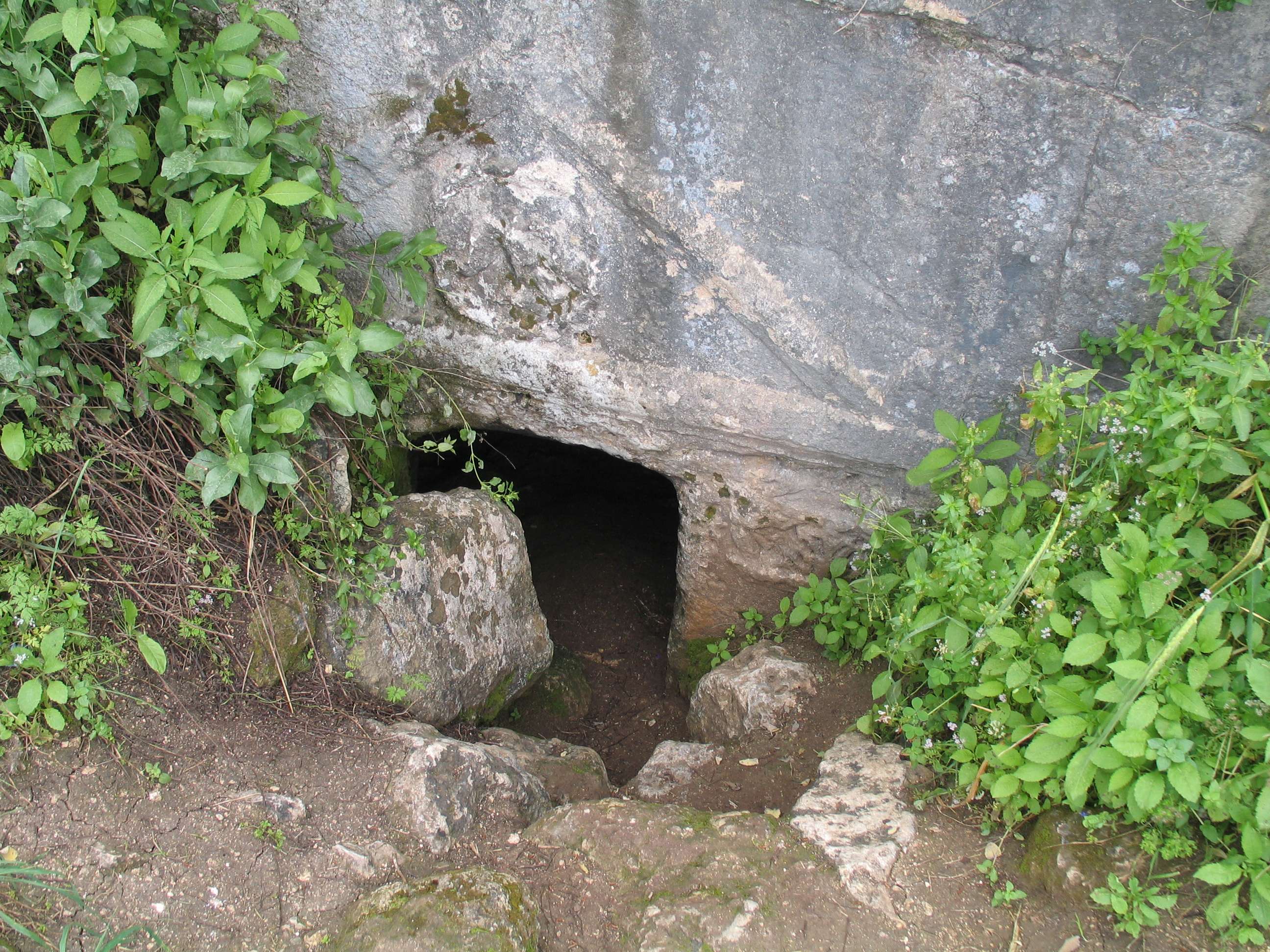 FileBikat-ha-Nezirim-31.jpg