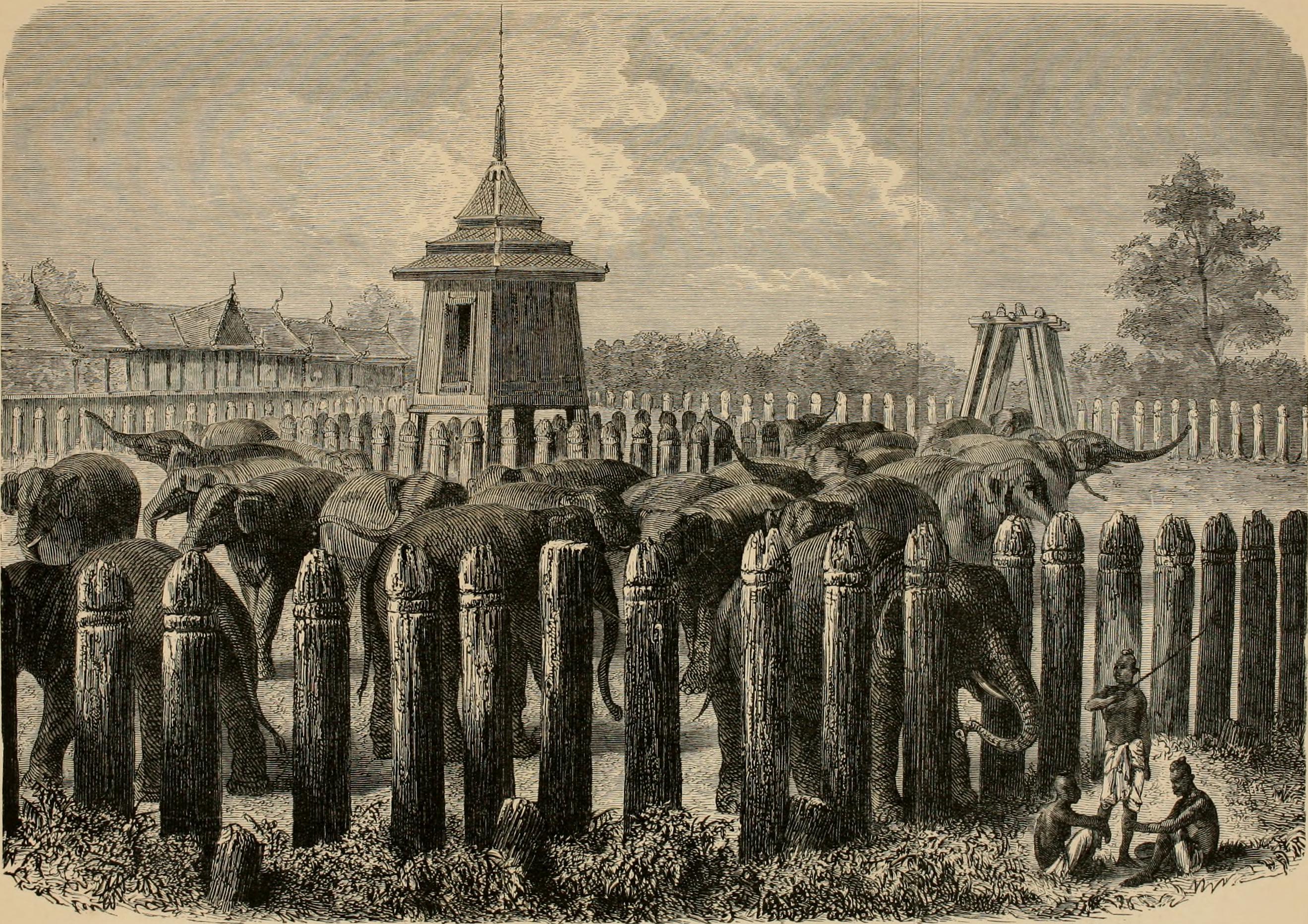Elephant Kraal, Ayutthaya