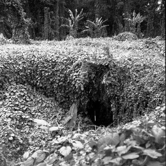 FileF_2_068_162_Ak_Uni_entrance_to_main_shaft_Falemauga_Caves_1957.jpg
