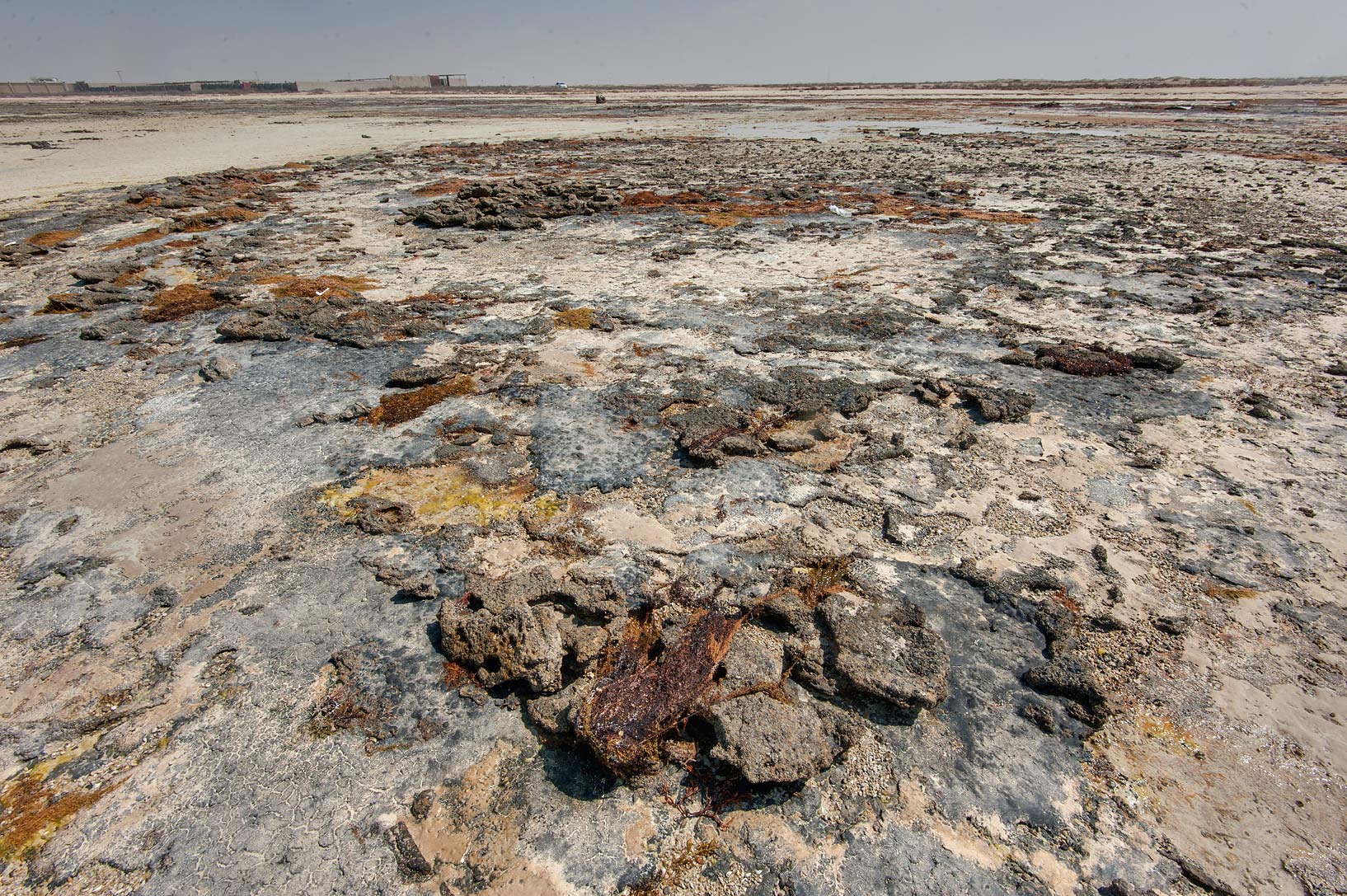FileColorful_beachrock_in_Freiha.jpg