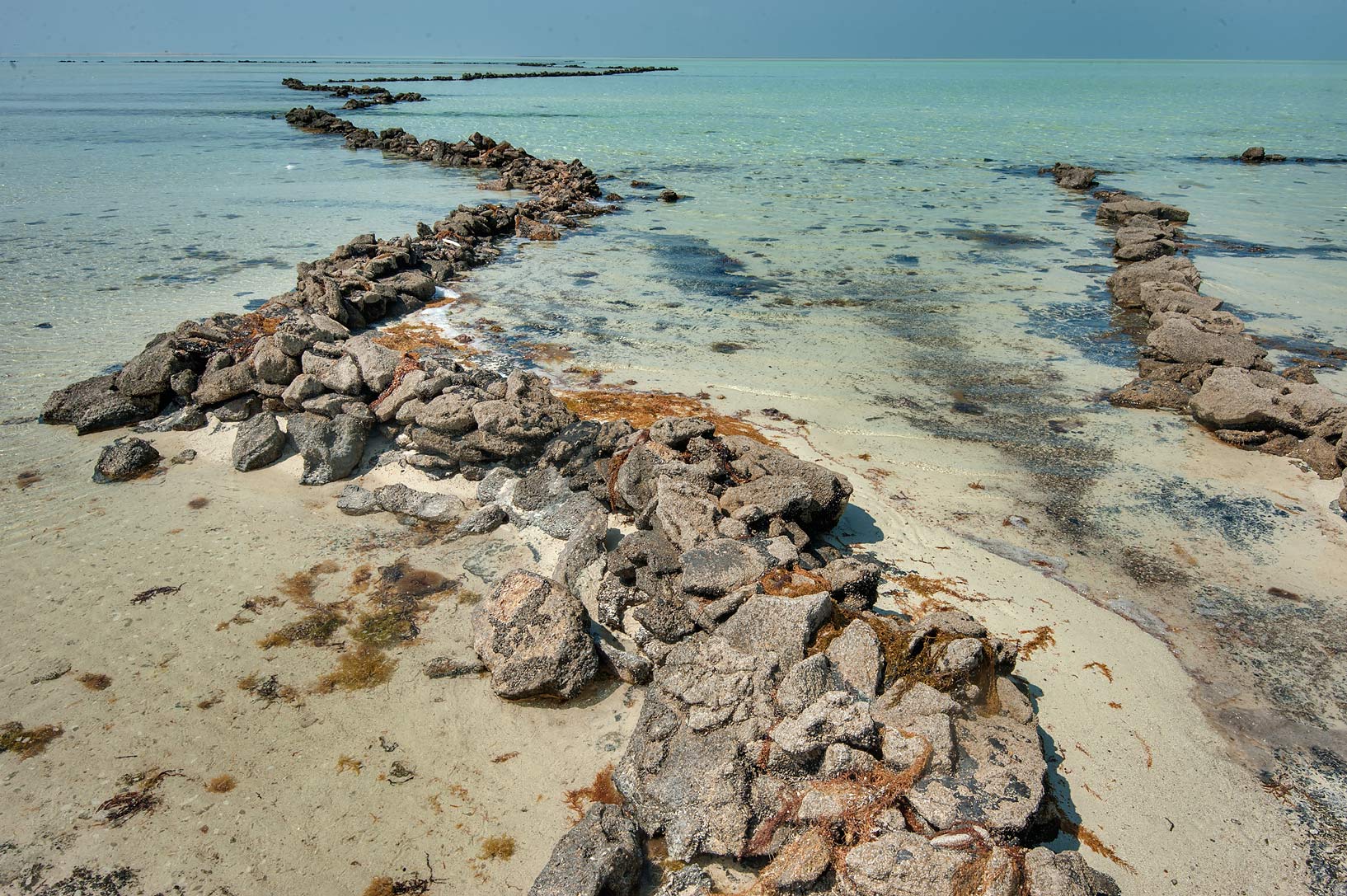 FileFish_traps_at_Freiha.jpg