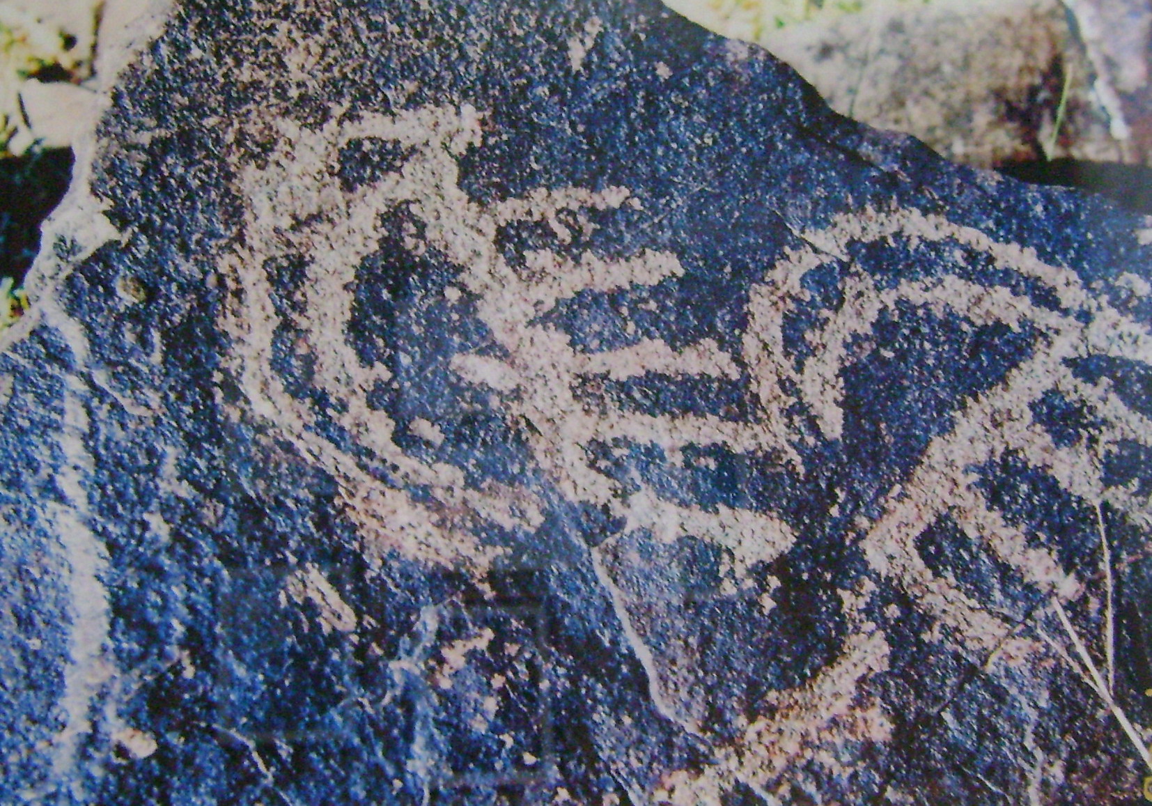 FileGemigaya_2.JPG