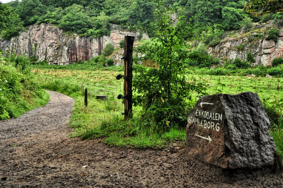 FileAlmindingen_trail.jpg
