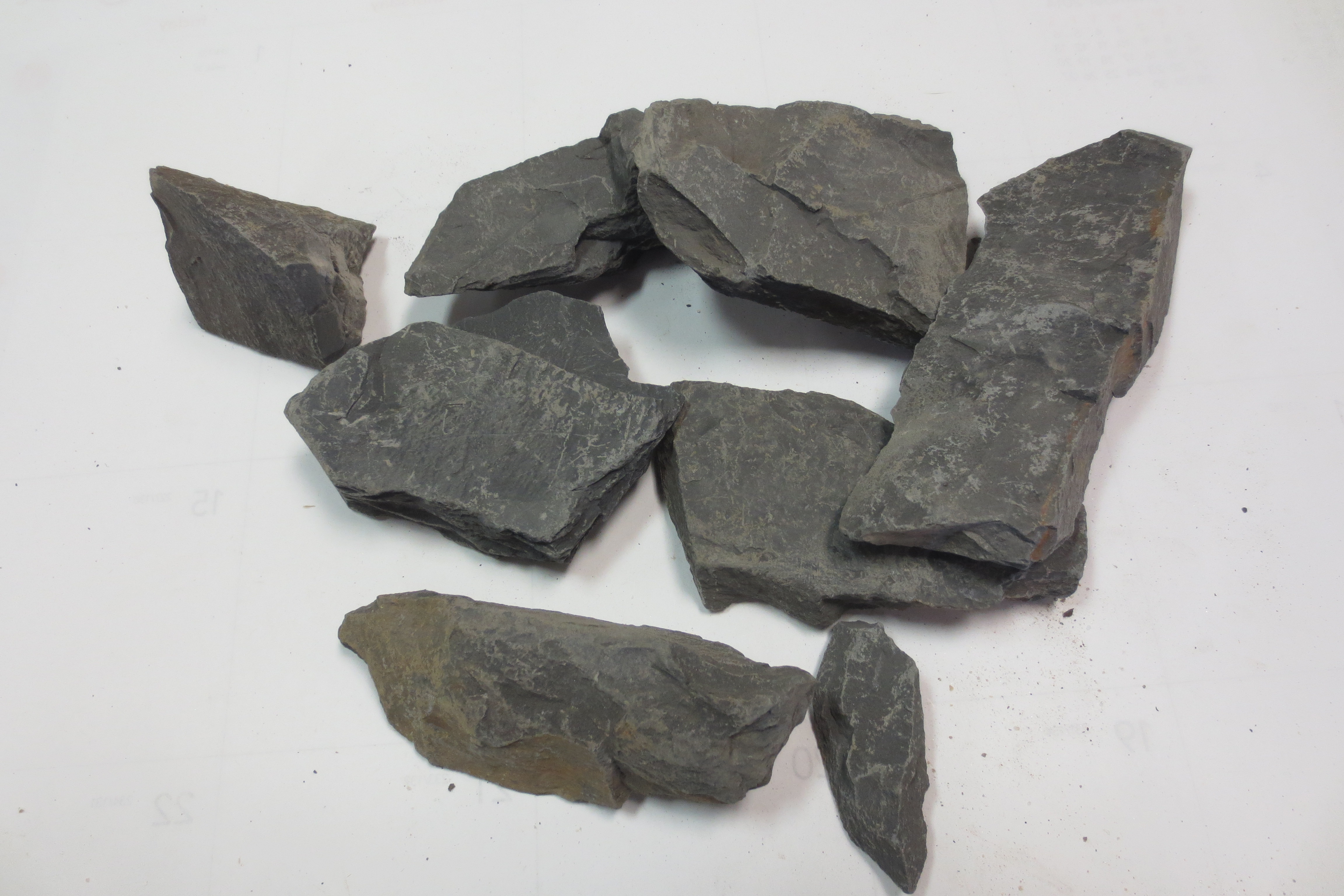 FileShale_student_sample.JPG