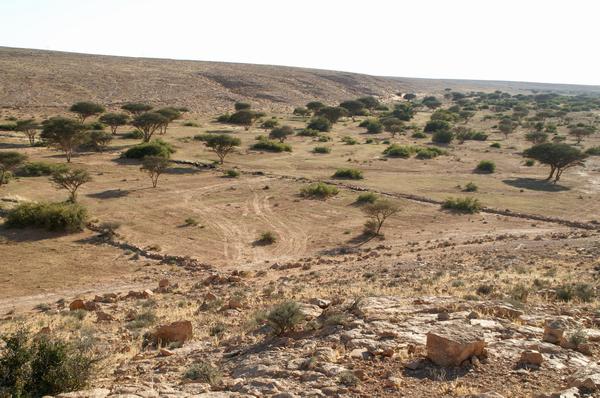 FileWadi_buzra.jpg