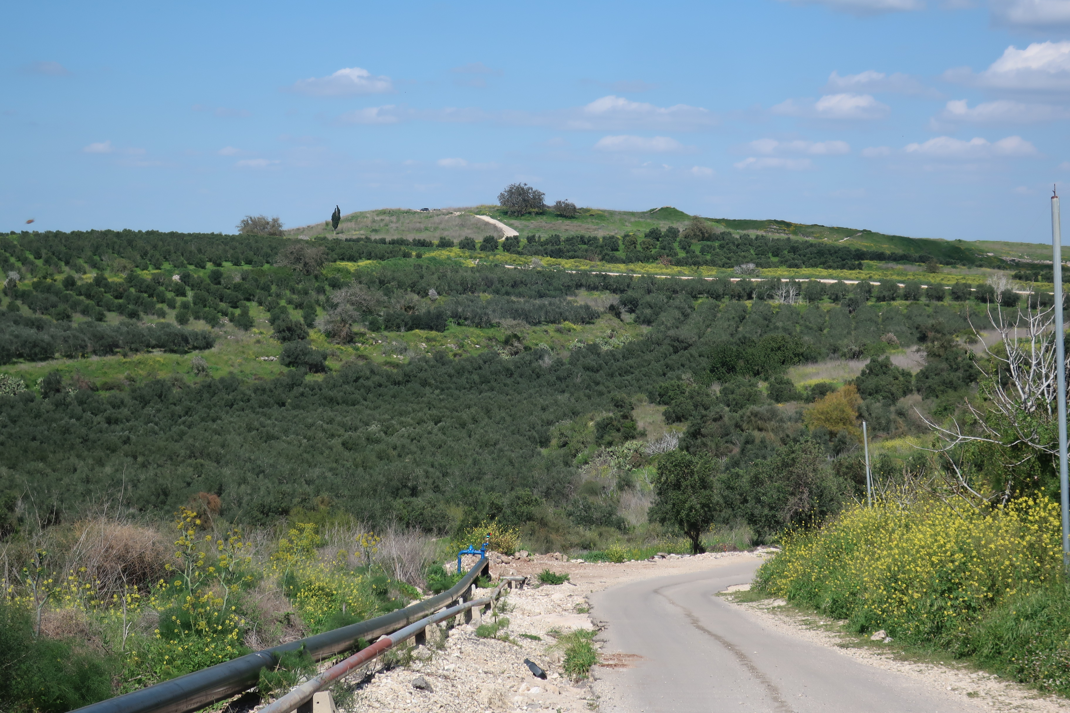 FileApproach_to_Tel_Gezer.jpg