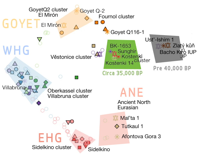 FileLocations_dates_and_MDS_plot_of_ancient_Eurasian_hunter-gatherers_PCA.png