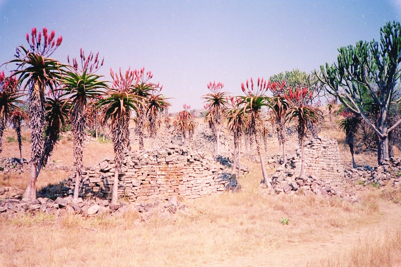 FileAlloes-valley-great-zimbabwe.jpg
