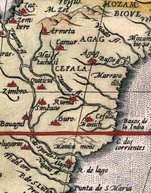 FileCefala_Manich_Simbaoe.png