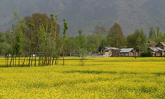 FileKashmir_Spring.jpg