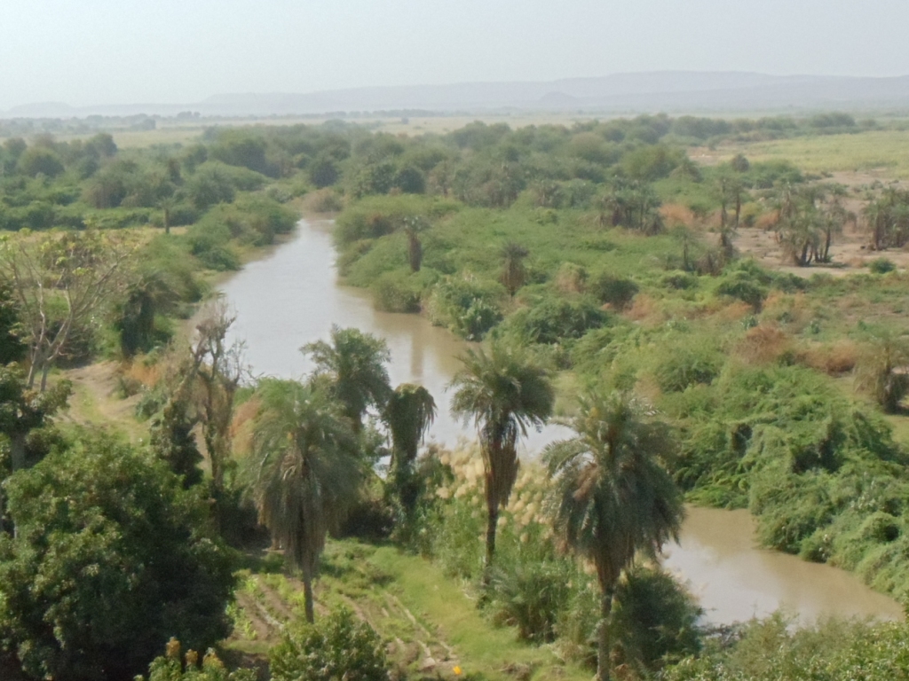 FileAwash_River_Valley_Asaita_Afar_Ethiopia.JPG
