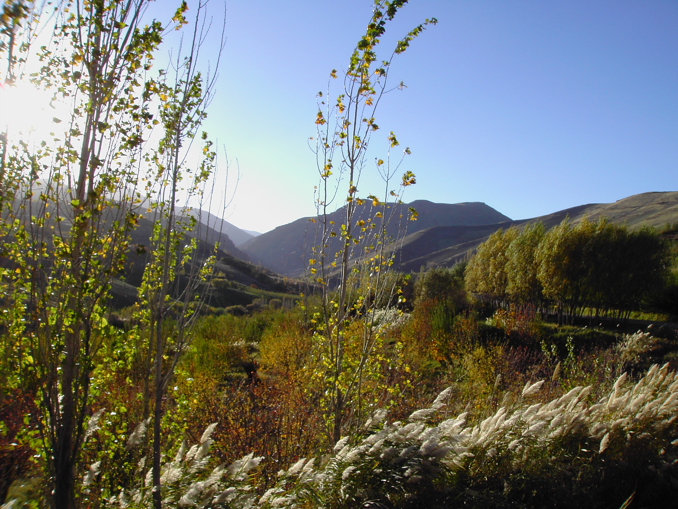 FileThe_environs_of_Borujerd_Goldasht.JPG