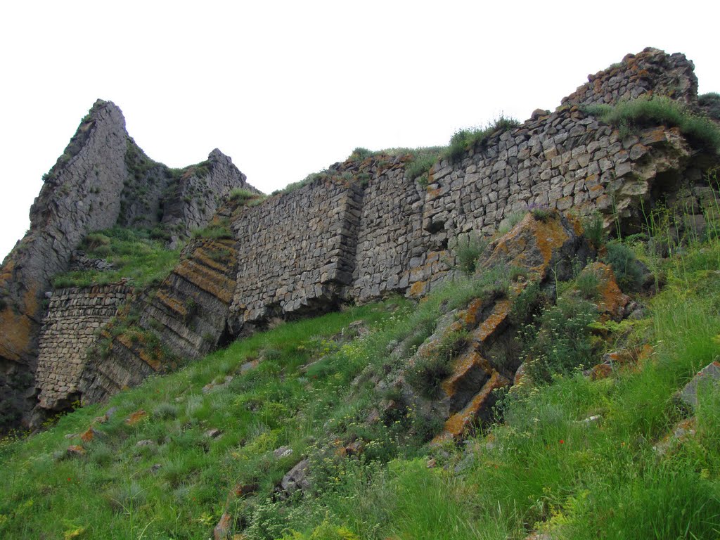 Halidzor Fortress